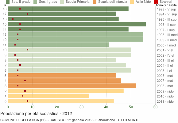 Grafico Popolazione in età scolastica - Cellatica 2012