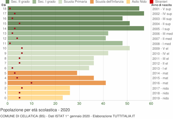 Grafico Popolazione in età scolastica - Cellatica 2020