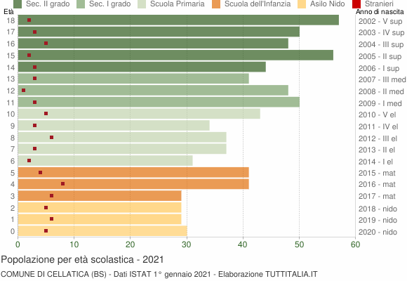 Grafico Popolazione in età scolastica - Cellatica 2021