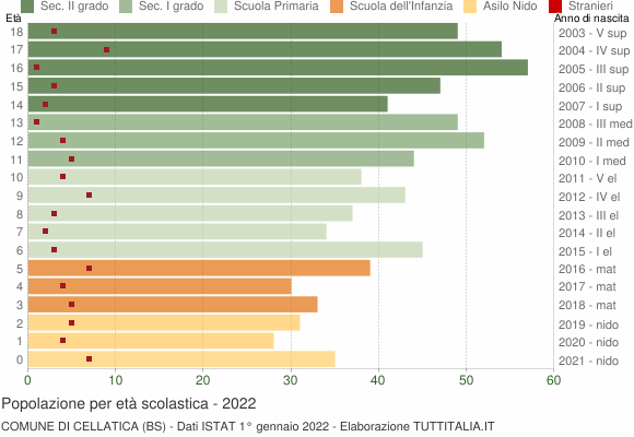 Grafico Popolazione in età scolastica - Cellatica 2022