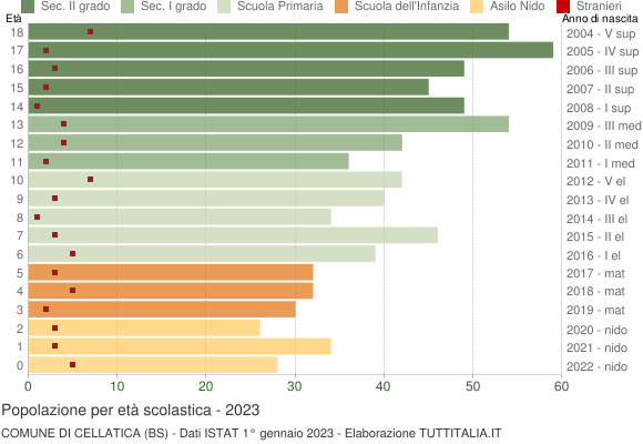 Grafico Popolazione in età scolastica - Cellatica 2023