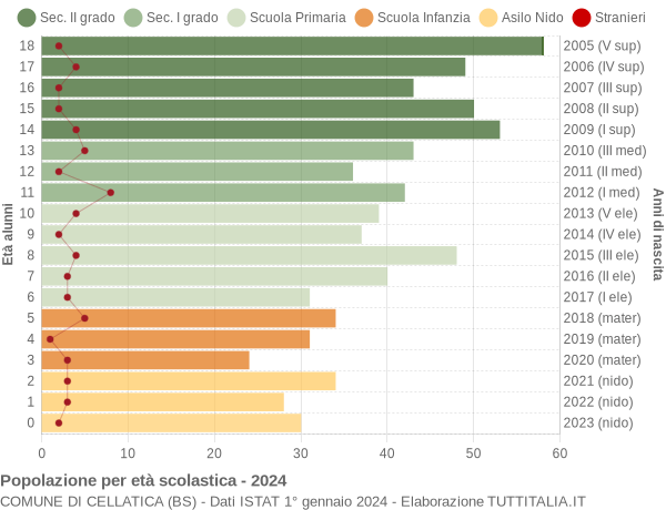 Grafico Popolazione in età scolastica - Cellatica 2024