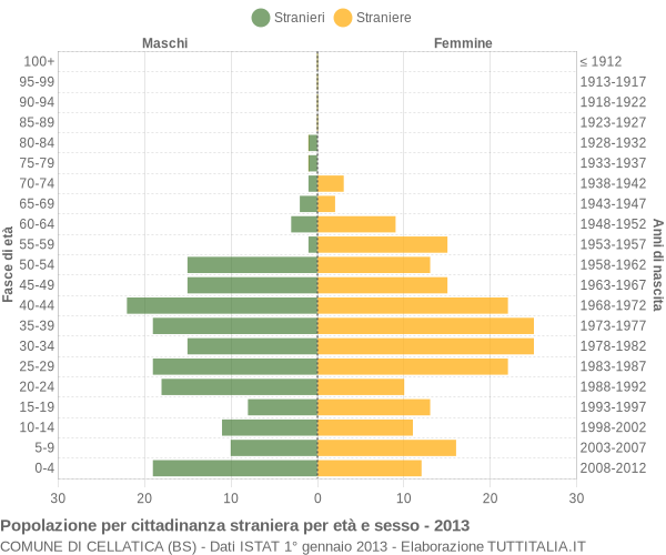 Grafico cittadini stranieri - Cellatica 2013