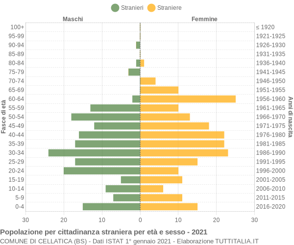 Grafico cittadini stranieri - Cellatica 2021