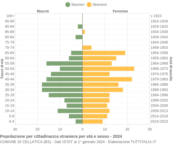 Grafico cittadini stranieri - Cellatica 2024