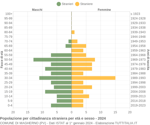 Grafico cittadini stranieri - Magherno 2024