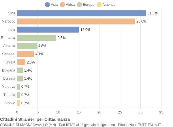 Grafico cittadinanza stranieri - Magnacavallo 2006