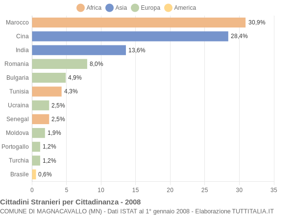 Grafico cittadinanza stranieri - Magnacavallo 2008