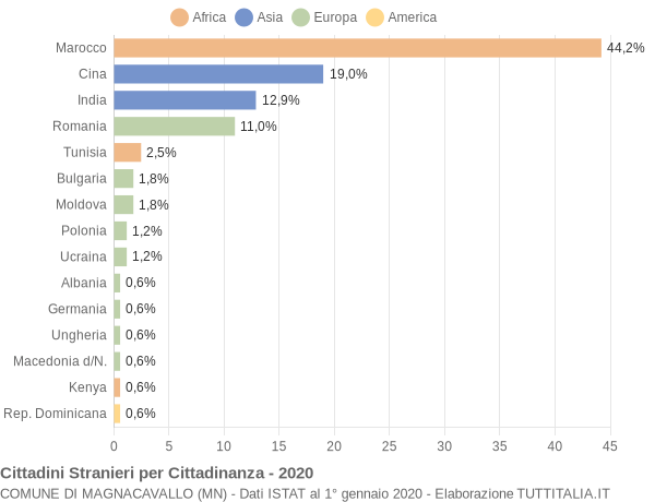 Grafico cittadinanza stranieri - Magnacavallo 2020