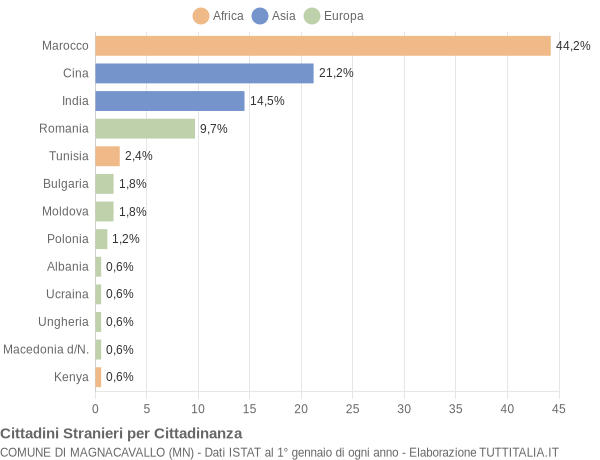 Grafico cittadinanza stranieri - Magnacavallo 2021