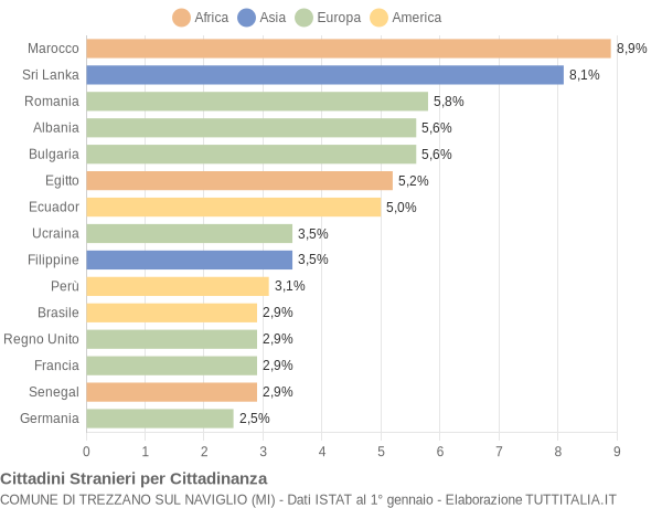 Grafico cittadinanza stranieri - Trezzano sul Naviglio 2004