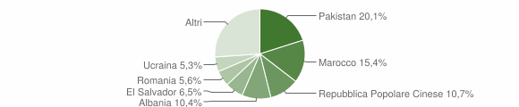 Grafico cittadinanza stranieri - Vanzaghello 2014