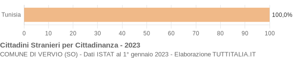 Grafico cittadinanza stranieri - Vervio 2023