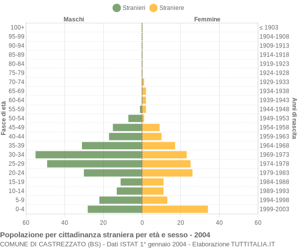 Grafico cittadini stranieri - Castrezzato 2004