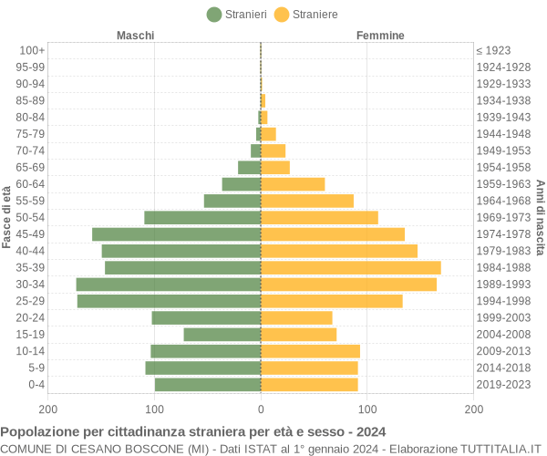 Grafico cittadini stranieri - Cesano Boscone 2024