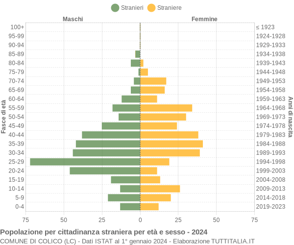 Grafico cittadini stranieri - Colico 2024