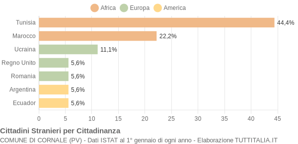 Grafico cittadinanza stranieri - Cornale 2004