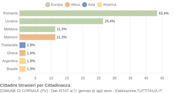 Grafico cittadinanza stranieri - Cornale 2013