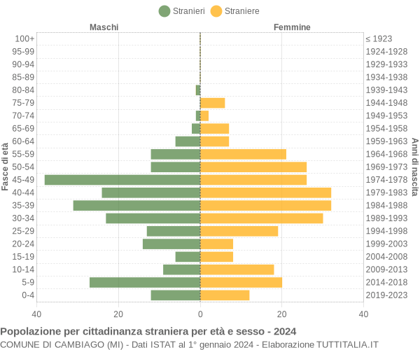 Grafico cittadini stranieri - Cambiago 2024