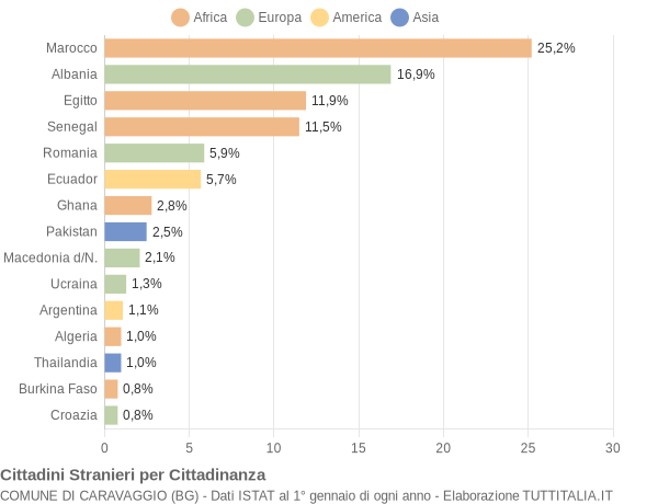 Grafico cittadinanza stranieri - Caravaggio 2004