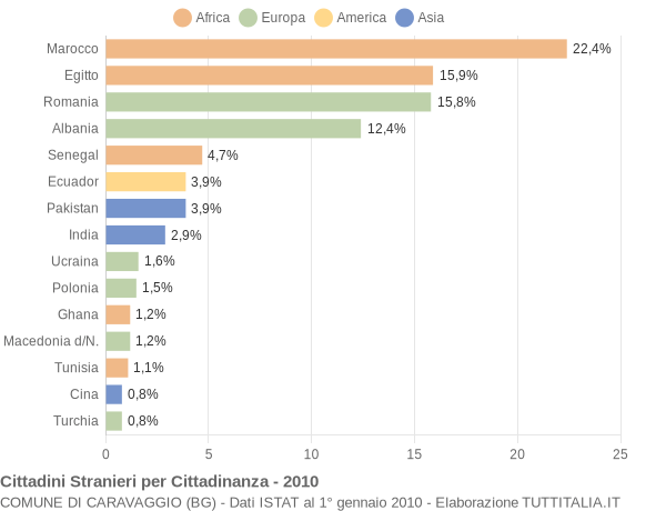Grafico cittadinanza stranieri - Caravaggio 2010