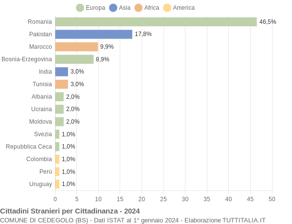 Grafico cittadinanza stranieri - Cedegolo 2024