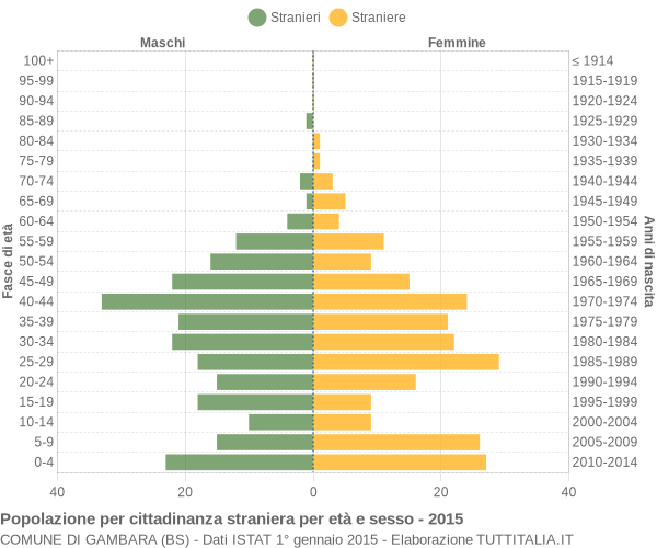 Grafico cittadini stranieri - Gambara 2015