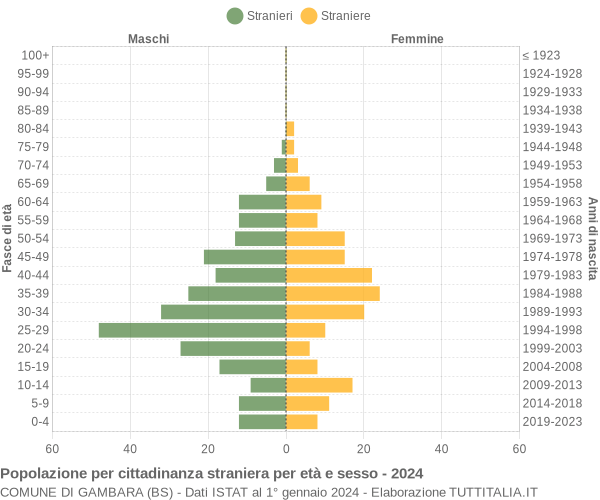 Grafico cittadini stranieri - Gambara 2024