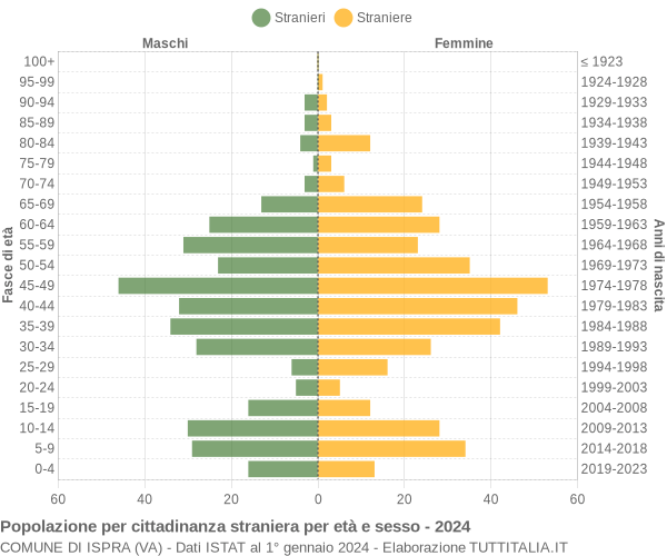 Grafico cittadini stranieri - Ispra 2024