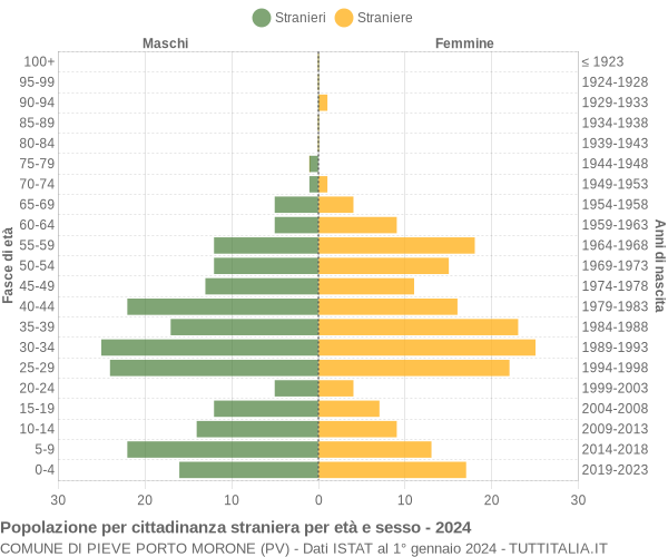 Grafico cittadini stranieri - Pieve Porto Morone 2024