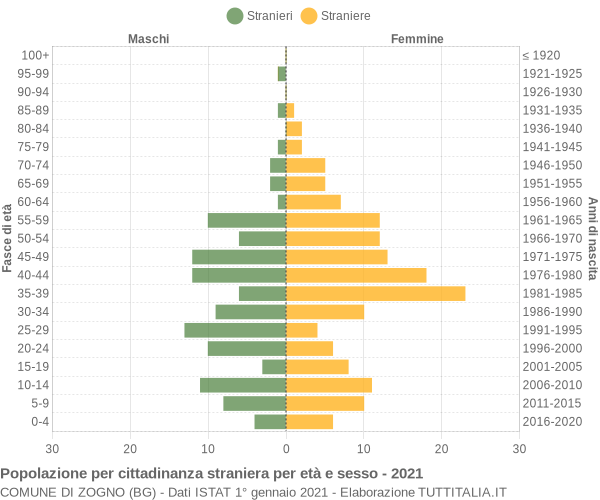 Grafico cittadini stranieri - Zogno 2021