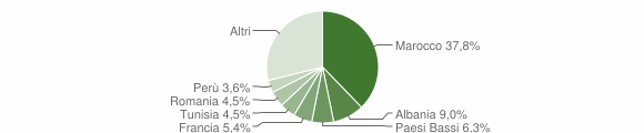 Grafico cittadinanza stranieri - Casalzuigno 2007