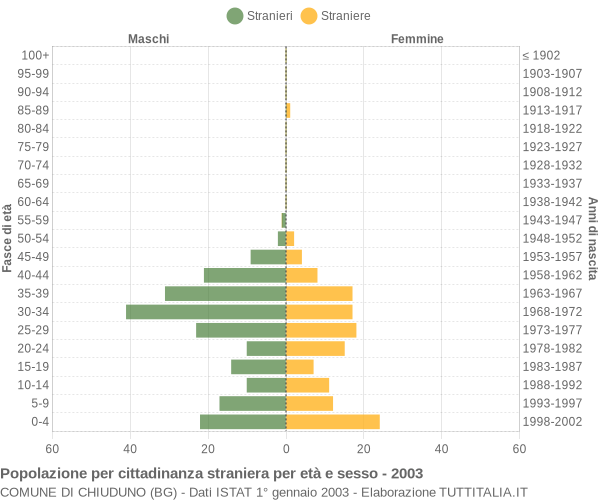 Grafico cittadini stranieri - Chiuduno 2003