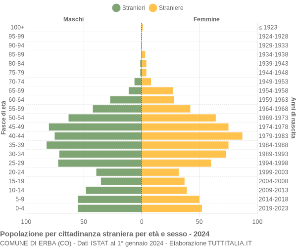 Grafico cittadini stranieri - Erba 2024