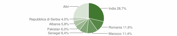 Grafico cittadinanza stranieri - Mairano 2011