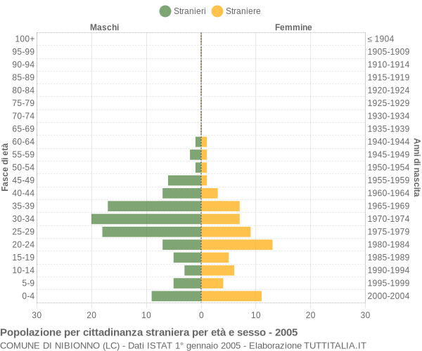 Grafico cittadini stranieri - Nibionno 2005