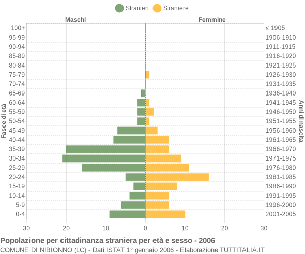 Grafico cittadini stranieri - Nibionno 2006