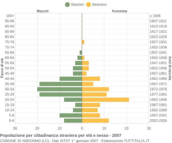 Grafico cittadini stranieri - Nibionno 2007