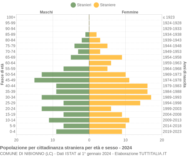 Grafico cittadini stranieri - Nibionno 2024