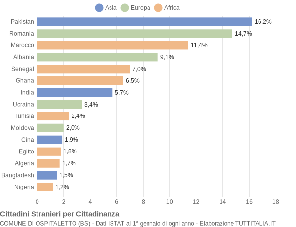 Grafico cittadinanza stranieri - Ospitaletto 2009