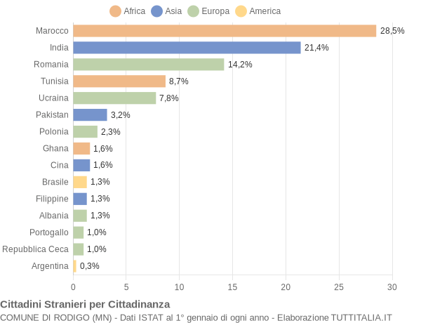 Grafico cittadinanza stranieri - Rodigo 2006