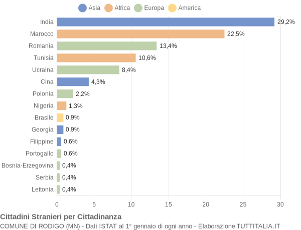 Grafico cittadinanza stranieri - Rodigo 2010