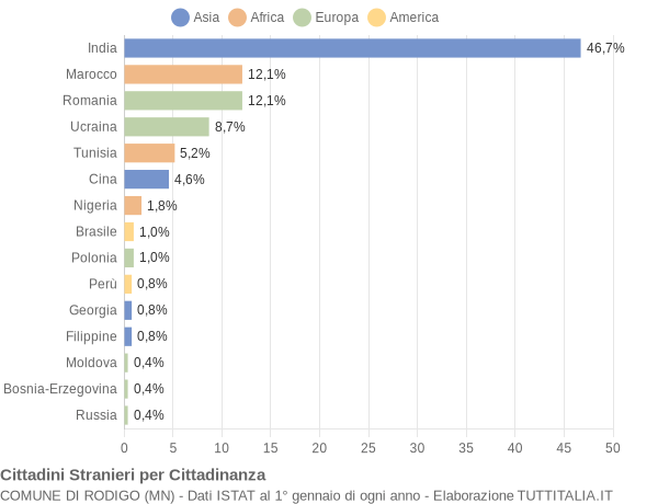 Grafico cittadinanza stranieri - Rodigo 2015