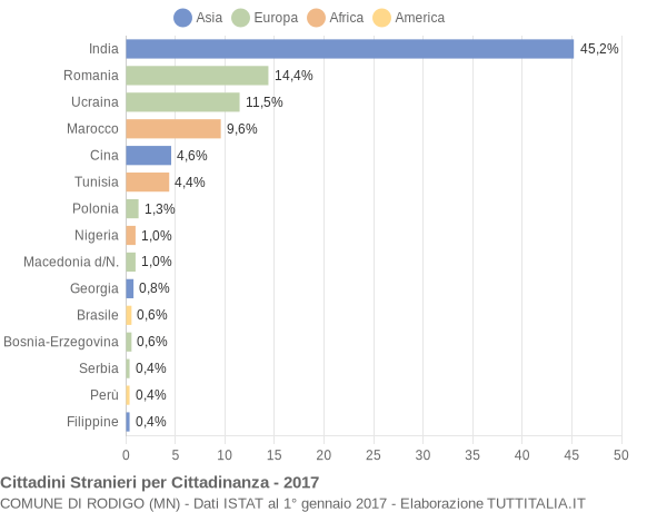 Grafico cittadinanza stranieri - Rodigo 2017