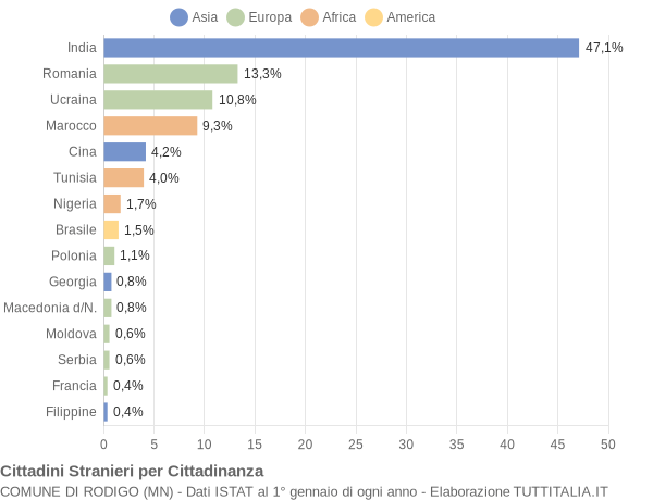 Grafico cittadinanza stranieri - Rodigo 2019