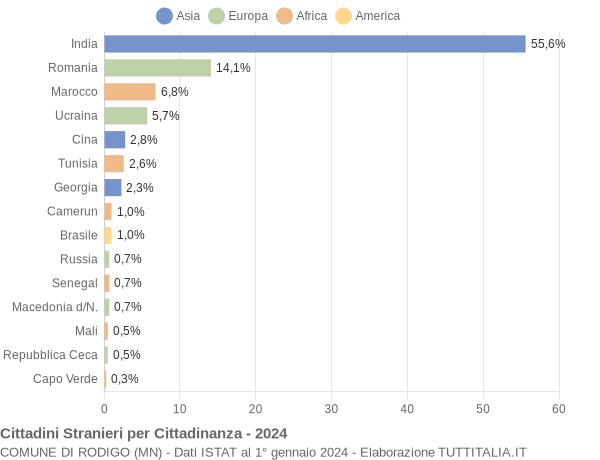 Grafico cittadinanza stranieri - Rodigo 2024