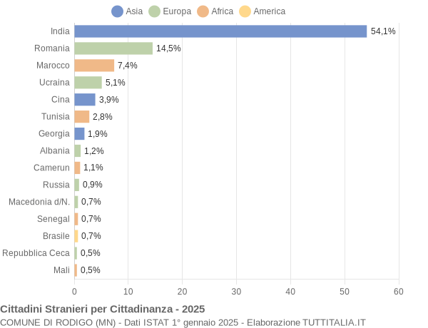 Grafico cittadinanza stranieri - Rodigo 2025
