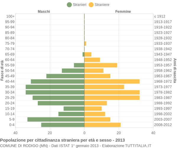 Grafico cittadini stranieri - Rodigo 2013