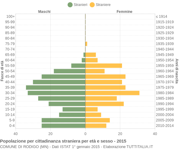 Grafico cittadini stranieri - Rodigo 2015