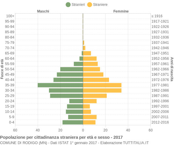 Grafico cittadini stranieri - Rodigo 2017